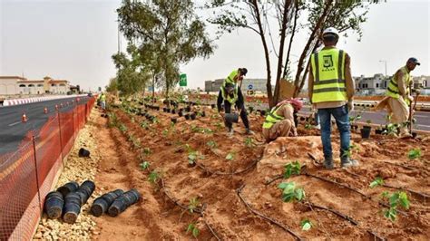 'Green Riyadh' is a Project to Help The City Cope With Environmental ...