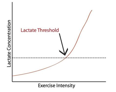 Lactate Threshold • MyHeart