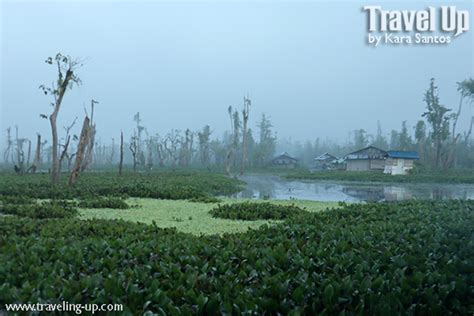 Marsh Magic: Agusan Marsh Wildlife Sanctuary – Travel Up