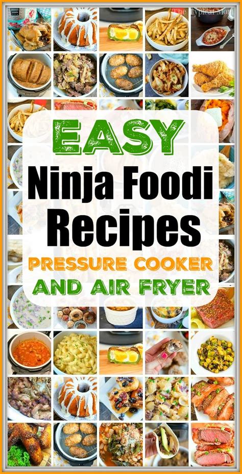 Best Ninja Foodi Recipes for Air Fryer & Pressure Cooker