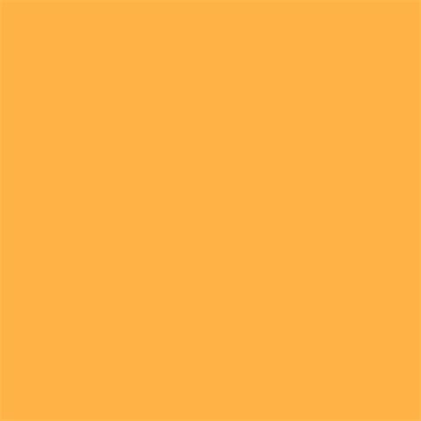 ️Pastel Orange Paint Color Free Download| Goodimg.co