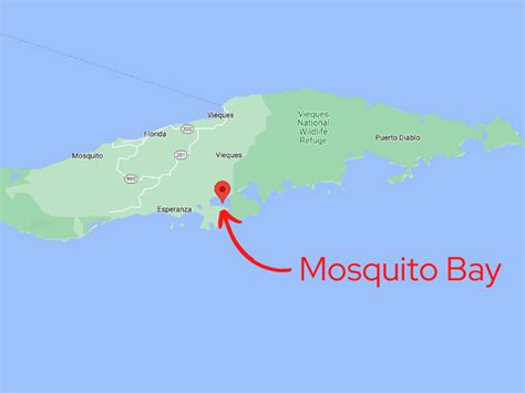 Mosquito Bay In Vieques, Puerto Rico (2025) - All You Need To Know