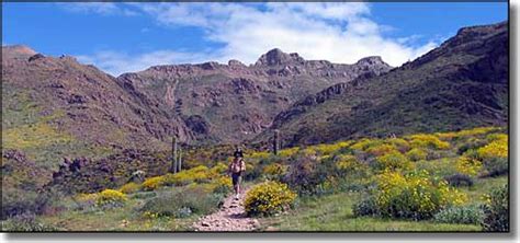 Tonto National Forest Trails