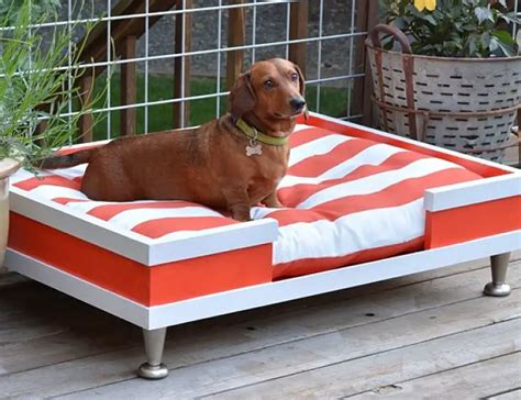 DIY dog bed ideas - inspiration for great home-made dog beds!