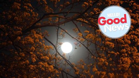 Super Flower Moon in the UK: How to see the last supermoon of the year ...