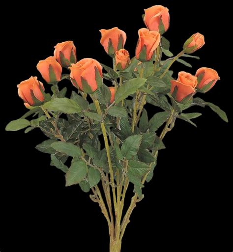 Orange Mini Rose Bush x 11 – Bonnett Wholesale Florist