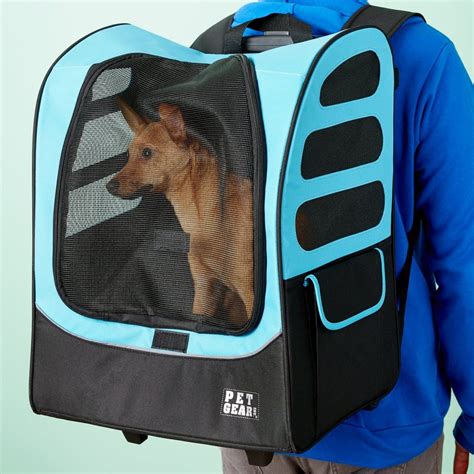 Best Dog Carrier Hiking Backpacks - Ruby Cavalier King Charles Spaniel