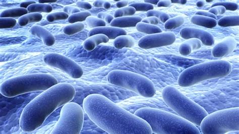 Deadly 'Superbug' Infection Was Resistant to All FDA-Approved Antibiotics | MyCentralOregon.com ...