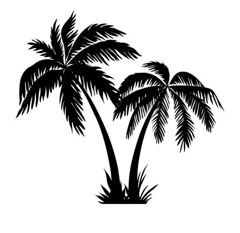 coconut tree vector png