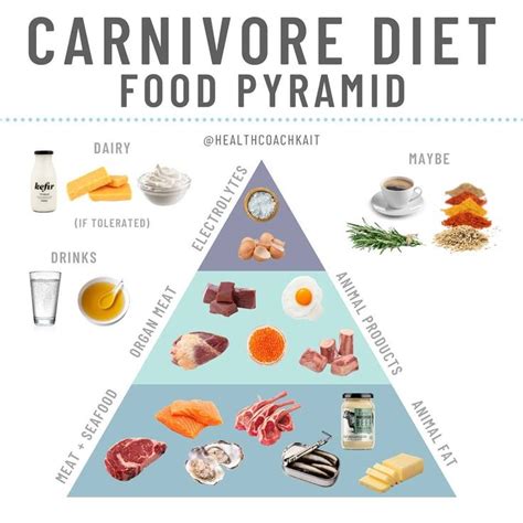 KAIT 🍳 Meat-Based Nutrition on Instagram: “The carnivore diet food pyramid 🥩 Here is what you ...