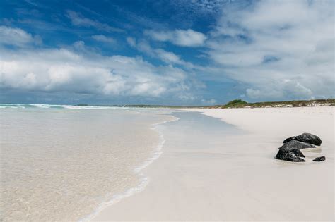 Best Beaches in Santa Cruz Island @Galapagos 2020 | Galapagos Low Cost