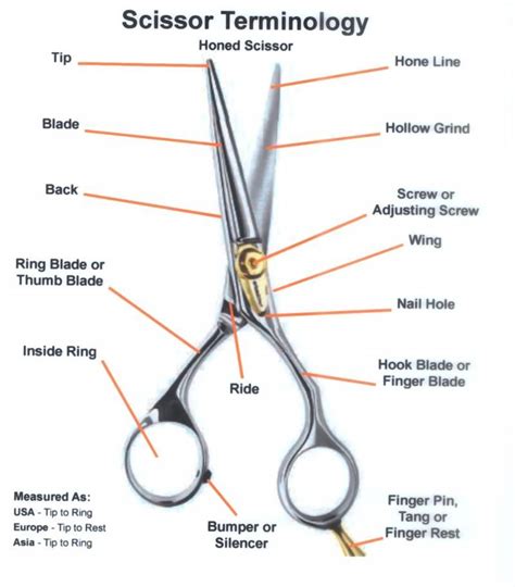 ALL About Scissors - Precision Sharpening Inc. | Cosmetology, Hair ...