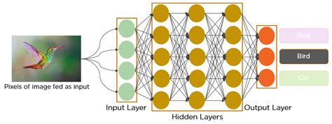 Basic Introduction to Convolutional Neural Network in Deep Learning