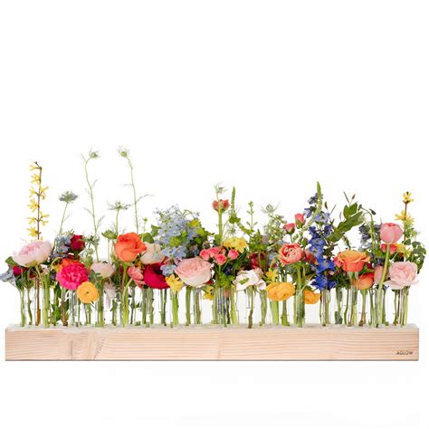 Aglow | Flower Vials | Short | Bloom, Wildflower wedding, Flowers