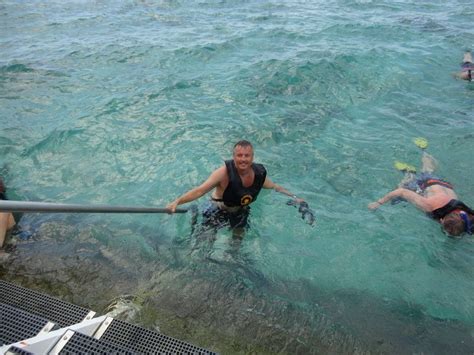 The snorkeling in Aruba was Awesome! Aruba, Outdoor Furniture, Outdoor ...