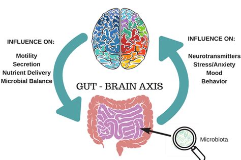 Gut Health Week 20th-27th January 2020 - Northcote Chiropractic