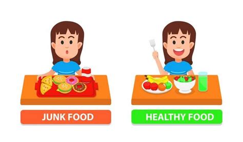 Healthy Food Pyramid Vector Art, Icons, and Graphics for Free Download