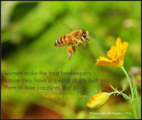 Secret Life Of Bees Sue Monk Kidd Quotes. QuotesGram