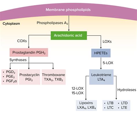 Nonsteroidal Antiinflammatory Drugs (NSAIDs) | Concise Medical Knowledge