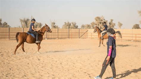 Horse Riding Training Course One Session Tickets, Sharjah. Best Offers and Prices - Platinumlist.net