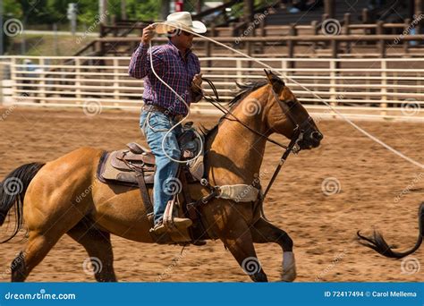 Cowboy Roping a Calf at Rodeo in South Dakota Editorial Stock Image - Image of rider, west: 72417494