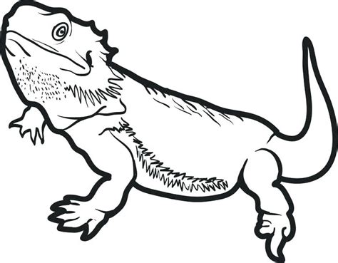 Bearded Dragon Coloring Pages