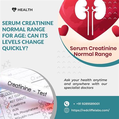 Serum Creatinine Normal Range for Age: Can its Levels Change Quickly ...