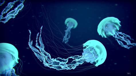 Jelly Fish Wallpapers - Wallpaper Cave