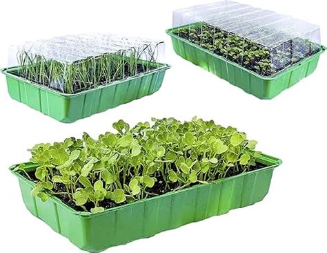 Germination Kits - Amazon.co.uk