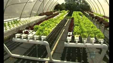 True Commercial Aquaponic Integrated Farming - YouTube