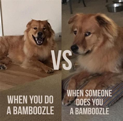 When you do a bamboozle... : r/Heccinbamboozle