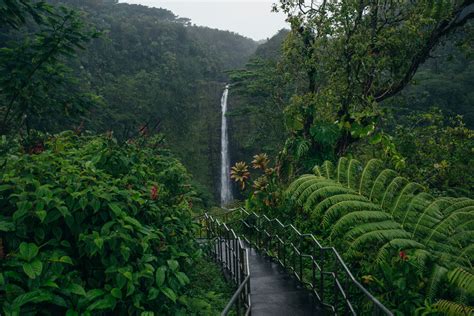 6 Captivating Hawaii Big Island Waterfalls | Insider Families