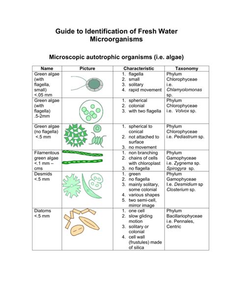 Guide to Identification of Fresh Water Microorganisms