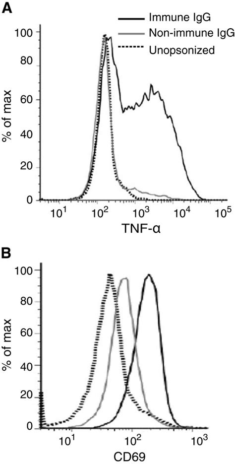 Monocyte activation and cytokine production following phagocytosis of... | Download Scientific ...