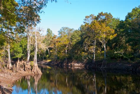 Withlacoochee River Park-2 | Florida Hikes | Flickr