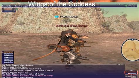 Wings of the Goddess (Storm on the horizon 8-1) ffxi Final fantasy xi 11 WOTG - YouTube