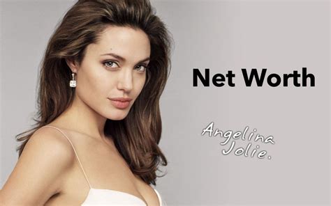 Angelina Jolie TMDB 2023: Career Income Net Worth Assets