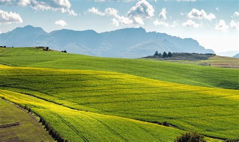 Free picture: grassland, field, grass, landscape, meadow, farm, mountain