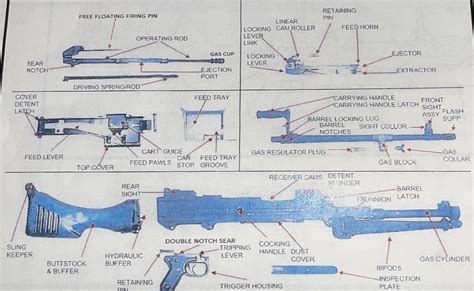 M240B Characteristics Diagram | Quizlet