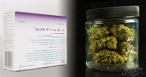 Sativex vs. Weed: Differences and Pros & Cons - WeedSeedShop