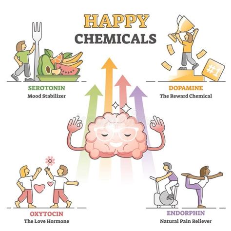 The Four Glorious Chemicals That Make You Happy | Humans