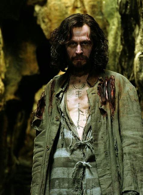 Sirius Black | Harry potter film, Harry potter characters, Harry potter cast