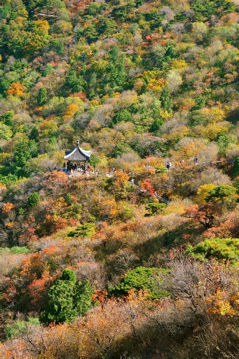 Autumn Beijing Fragrant Hill - Free photo on Pixabay