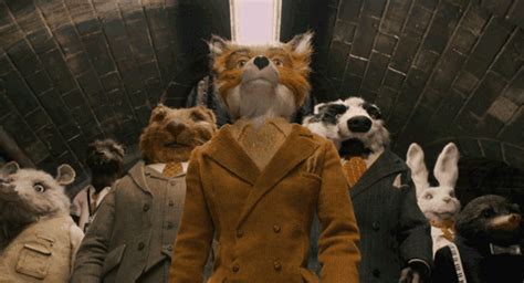 Fantastic Mr Fox GIF - Find & Share on GIPHY