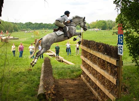 Riding | Eventing horses, Horse life, Eventing cross country