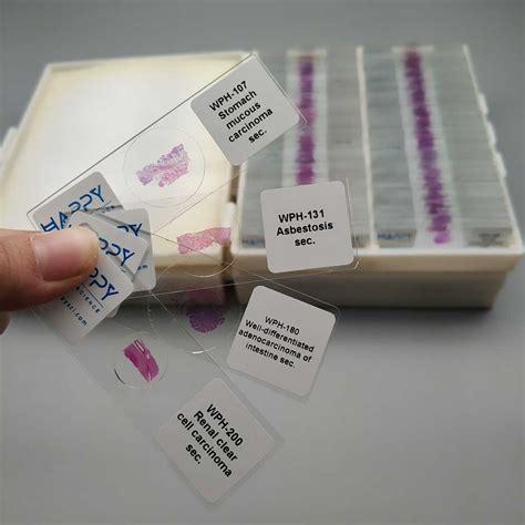 263pcs/set Human pathology slides for university