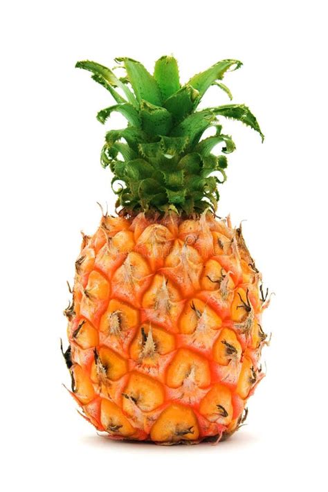 Pineapple stock image. Image of culture, length, nutrient - 2121983