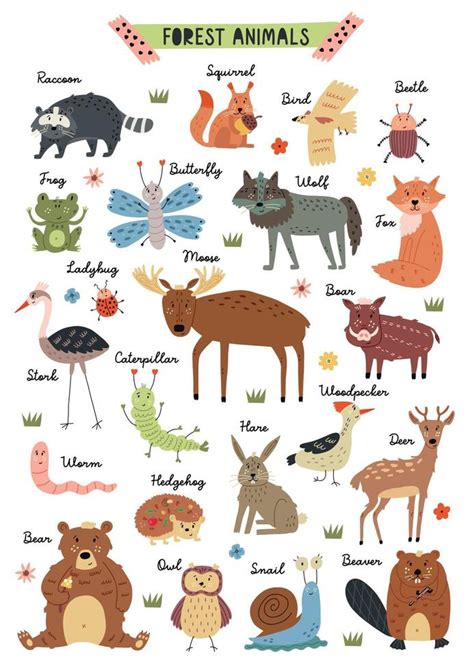 cartel infantil animales del bosque 6476622 Vector en Vecteezy