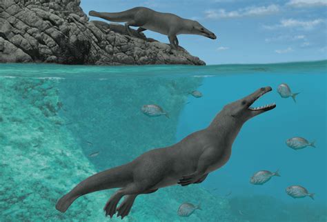 Ancient amphibious whale with four legs and hooves dared to cross the Atlantic