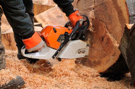 Logger with chainsaw. stock photo. Image of damage, horizontal - 17812328